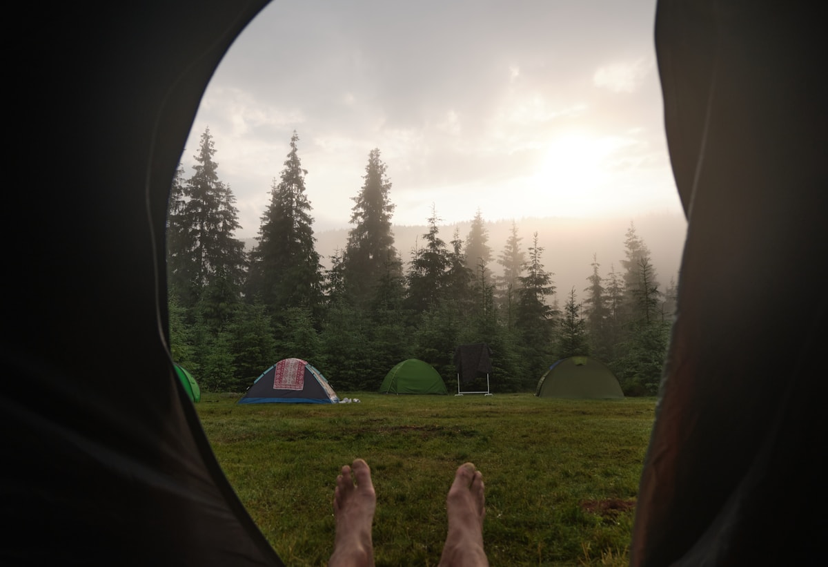 Emplacement pour tente sous les arbres